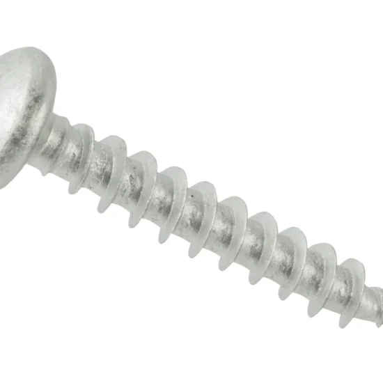 Ruspert Silver Roundhead Screws